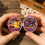 DIY Miniature Nut Shell House Resin Secret Scene 6