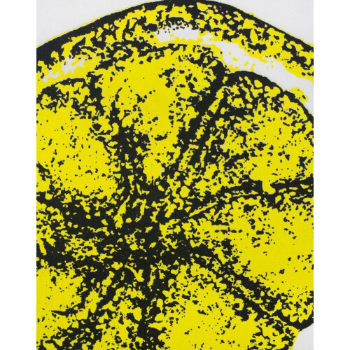(Large) The Stone Roses Vest (Mens White) 2