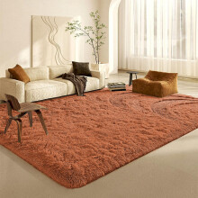 (Rust, 200X290CM) Large Shaggy Rugs Non-Slip Fluffy Rug Soft Carpet Mat