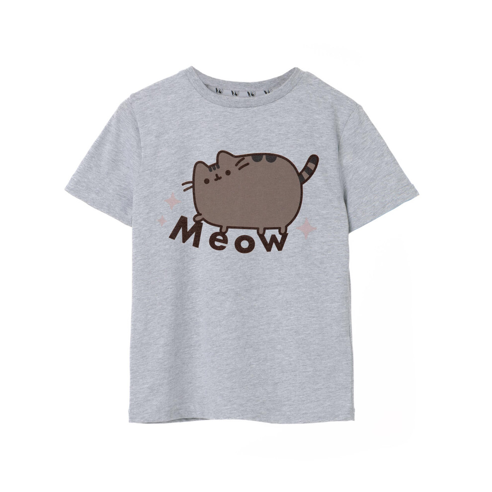 (11-12 Years) Pusheen Short Sleeved T-Shirt (Girls Grey)