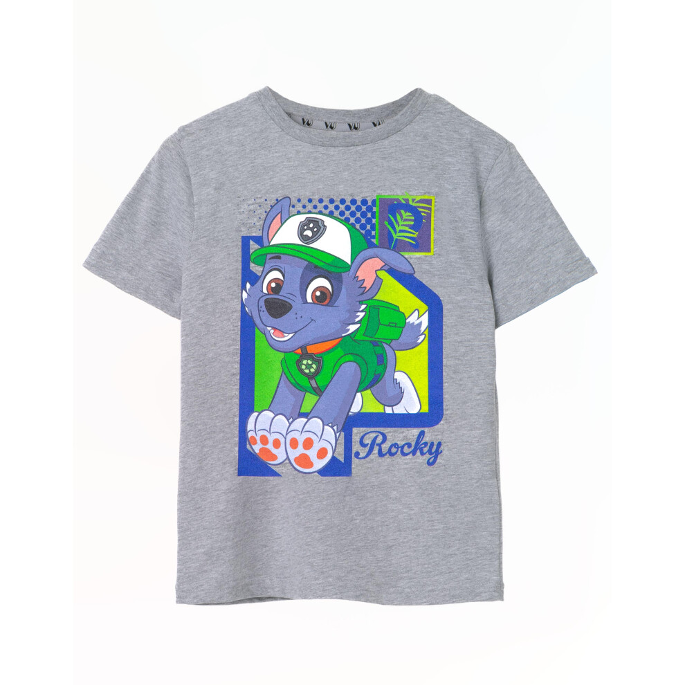 (3-4 Years) Paw Patrol Short Sleeved T-Shirt (Boys Grey)
