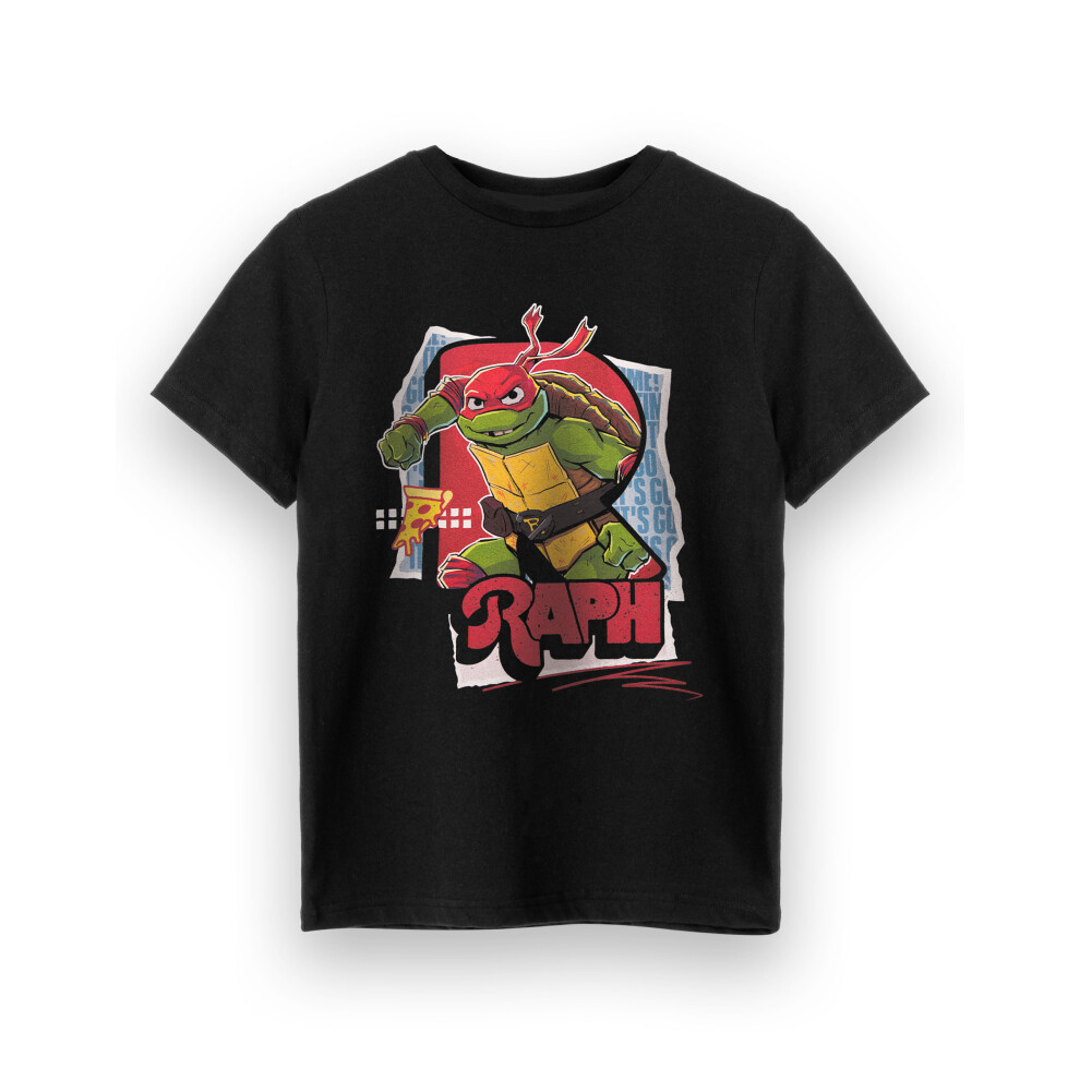 (13-14 Years) Teenage Mutant Ninja Turtles Short Sleeved T-Shirt (Boys Black)