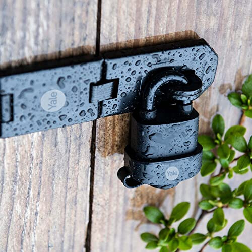 Yale Y1130040080 Long Shackle Padlock 40 mm (Blister Pack) 1