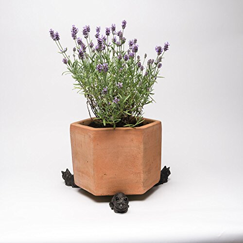 Plant Pot Decorative Feet - Sleeping Cat 2