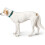 Hunter - Hilo Collar Vario Basic M Cuello 33-50Cm Turquoise 4