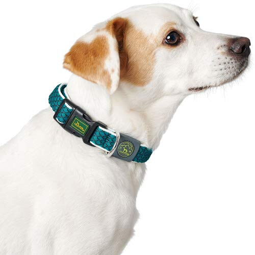 Hunter - Hilo Collar Vario Basic M Cuello 33-50Cm Turquoise 1