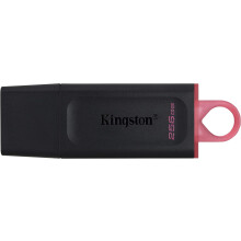 Kingston DataTraveler Exodia (DTX-256GB)
