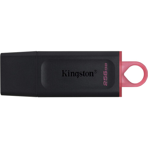 Kingston Kingston DataTraveler Exodia (DTX-256GB)