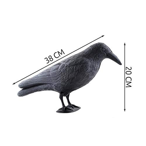 Vogelabwehr - Rabe 1