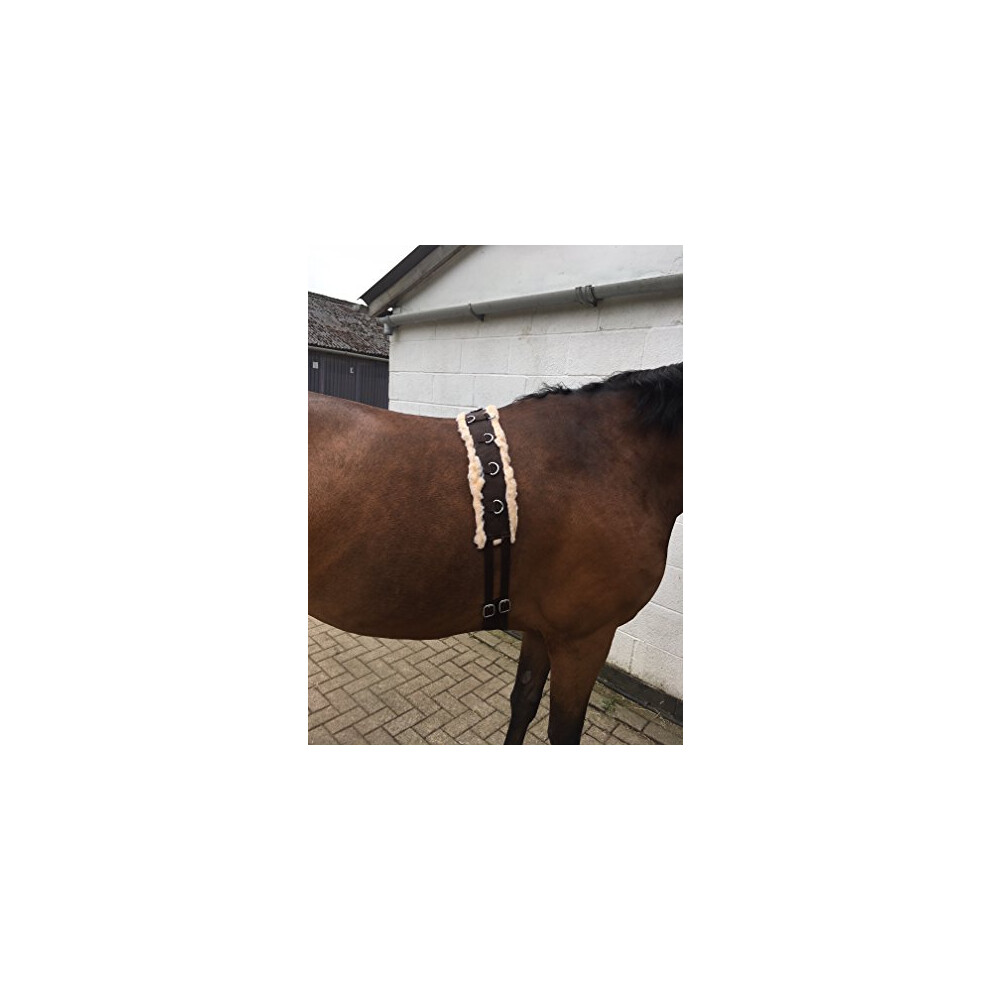 Photos - Equestrianism Synthetic Fleece PAD LUNGE BREAKING TRAINING ROLLER + adjustable girth BROWN F/C/P