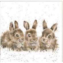 Rabbit Print on White Square Canvas 20 Centimetre Daisy Chain