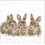 Wrendale Rabbit Print on White Square Canvas 20 Centimetre Daisy Chain 1