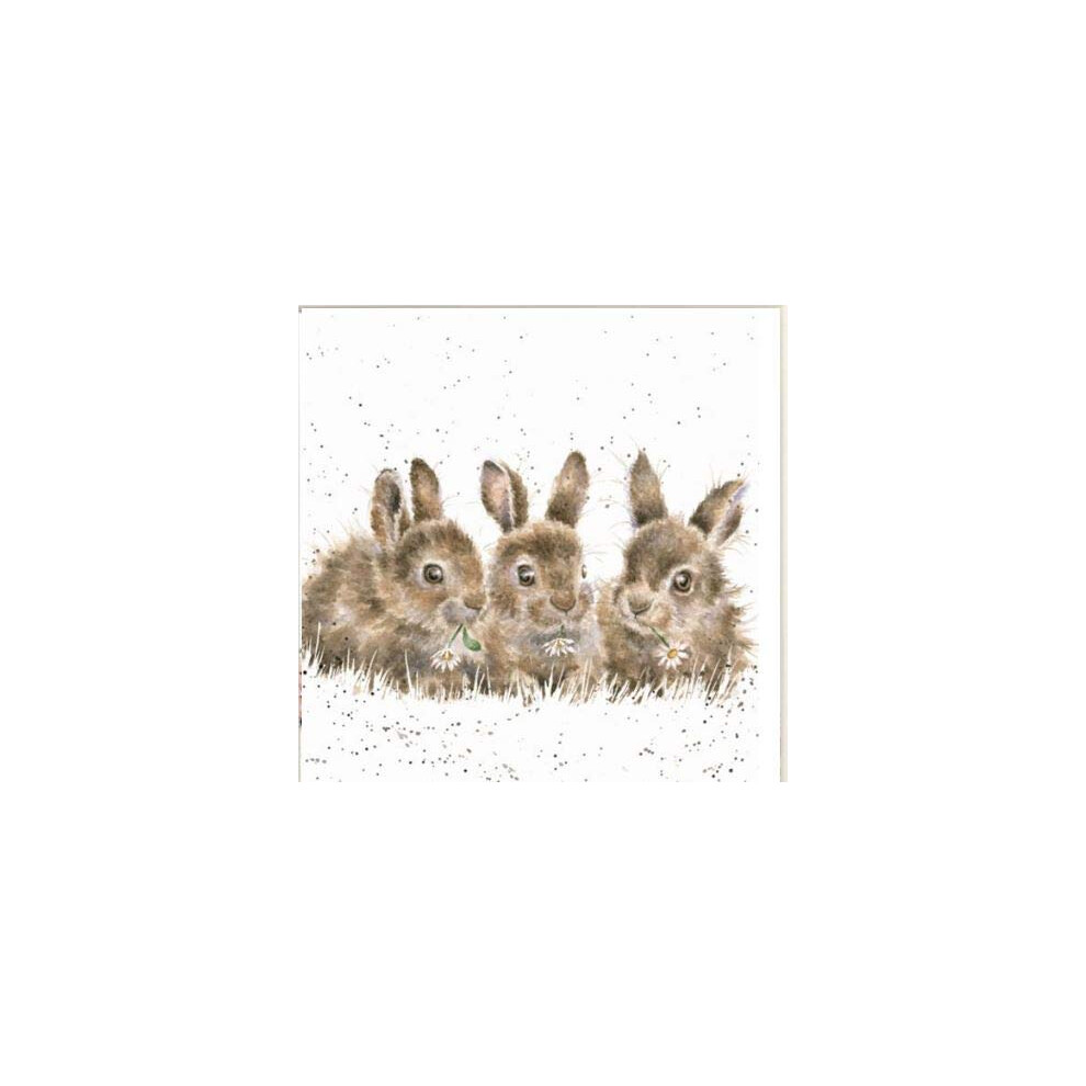 Wrendale Rabbit Print On Square Canvas 20 Centimetre Daisy Chain White