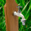 COLORTAPS 590227 Adjustable Garden Tap ½" White with Automatic Hose Outlet 5
