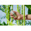 OPI Nail Base Gel Opi Nature Strong 15 ml 5