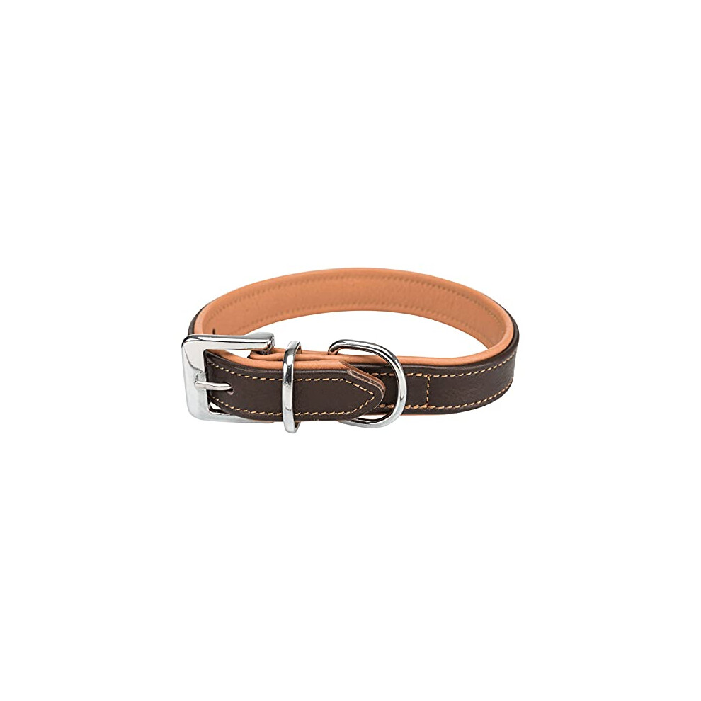 Active Comfort 18935 Dog Collar, S: 31-37 cm/25 mm, Brown/Light Brown