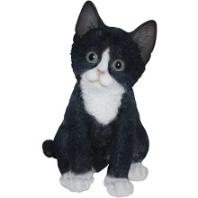 Pet Pals Kitten Black and White by Vivid Arts