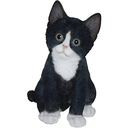 Pet Pals Kitten Black and White by Vivid Arts