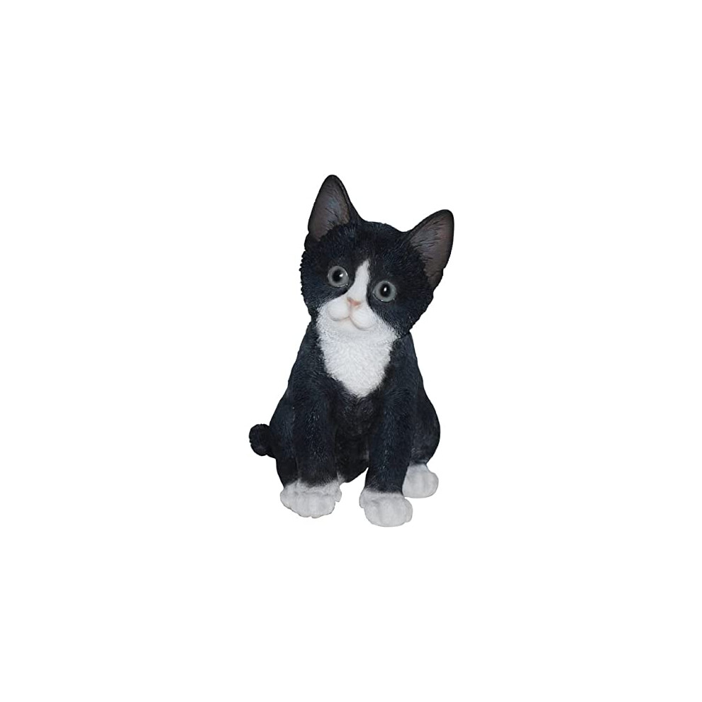 Vivid Arts Pet Pals Kitten And By Black/White