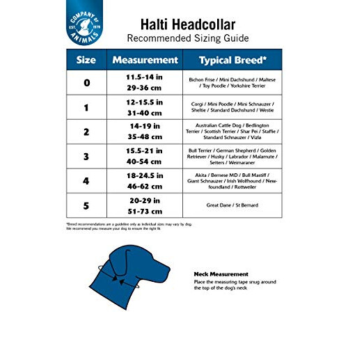 Halti Headcollar and Training Lead Combination Pack, Stop Dog Pulling on Walks with Halti, Includes Size 5 Head Collar and 1