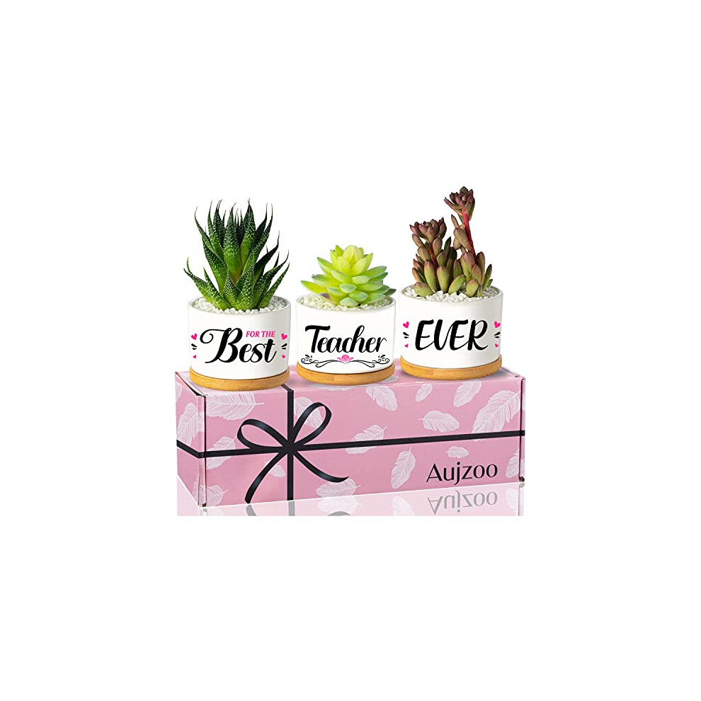 Teacher Gifts for Women, Best Teacher Appreciation Gifts Succulent Pots Cool Summer Gift Ideas, Arrive Beautifully Gift