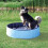 Trixie Pool for Dog, 30 x 120 Diameter, Light Blue 2