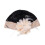 Boland Charleston Accessories set - Headband and Gloves 3