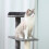 PawHut PawHut Cat Tree 100cm Indoor Kitten Scratching Post Activity Centre, Grey 6