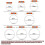 (24cm) Silicone Seal Ring Replacement Heat Resistant Kitchen Pressure Cooker Tools 1