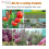 180g/bag formaldehyde snail insecticide suitable for plants vegetable 3