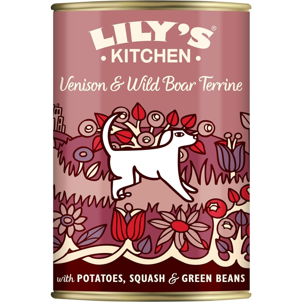 Lily's Kitchen Natural Adult Dog Food Wet Tins - Venison & Wild Boar Terrine - Complete Meal Recipes (6 Tins x 400g)