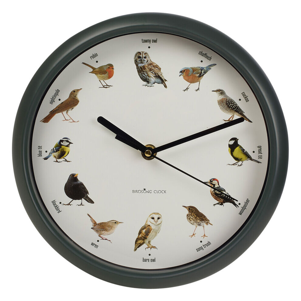 Bird Clock With Sounds Singing Birds Hanging Wall Clock with Hourly Sounds