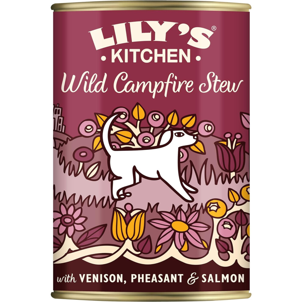 Lily's Kitchen Natural Adult Wet Dog Food Tin Campfire Stew Grain-Free Recipe 6 x 400g