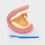 Giant Teeth Demonstration Set 2