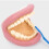 Giant Teeth Demonstration Set 7