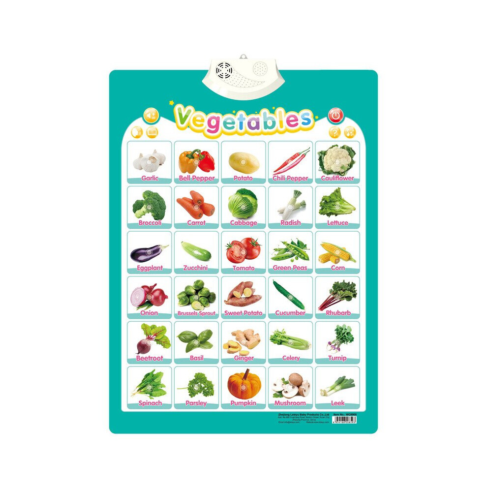 (G) My Body Pvc Kid Cognitive Abc Wall Chart Educational Audio Talking Poster Aihongtai