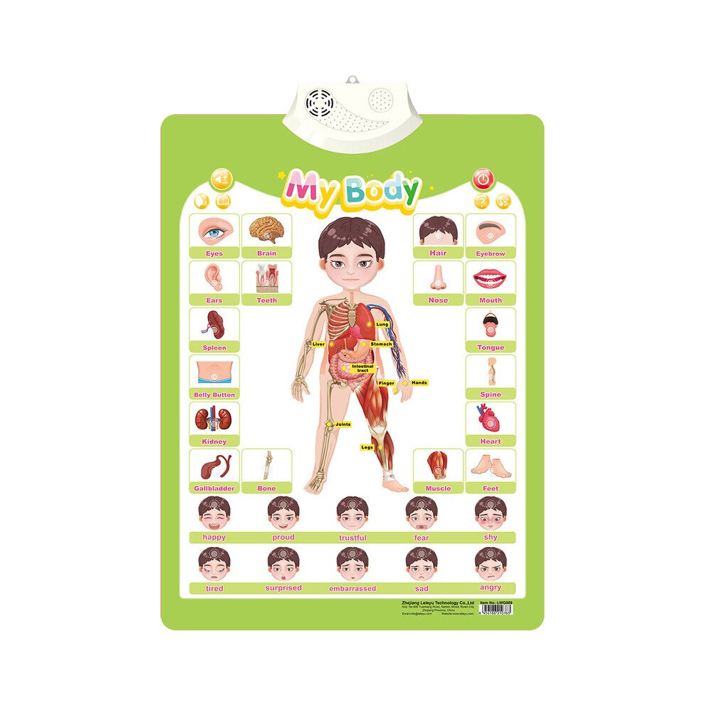 (E) My Body Pvc Kid Cognitive Abc Wall Chart Educational Audio Talking Poster Aihongtai