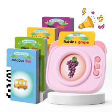 (Pink UK) Comprehensive Learning Kit Speech Therapy Toys Talking Flash Cards Hand
