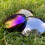 Sensory Reflective Sound Buttons 10