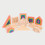 Rainbow Architect Set 15