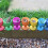 Rainbow Wooden Egg Cups 8