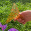Rainbow Glitter Shapes 11