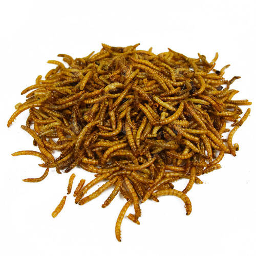 Gardeners Dream GardenersDream Dried Mealworms (70L) 2