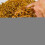 Gardeners Dream GardenersDream Dried Mealworms (70L) 6