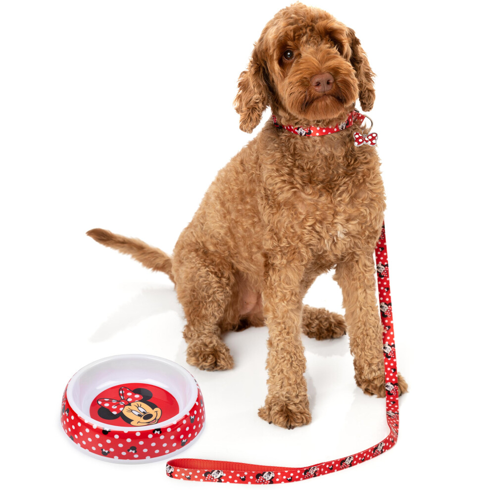 (Medium) Disney Bowl , Collar , Charm and Lead Gift Set (Unisex Blue)