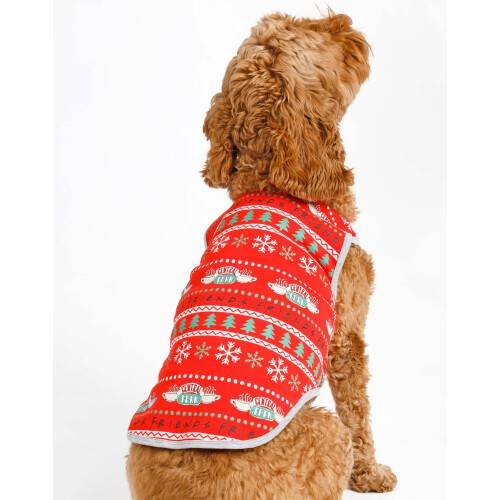 Friends (Small) Friends Christmas Jumper (Unisex Red) 2