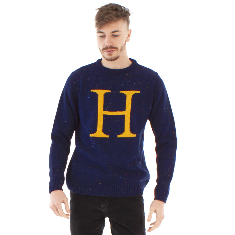 Harry Potter Jumper (Mens Blue) 