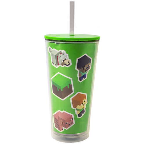 Minecraft Straw Water Bottle (Unisex Kids Green) on OnBuy