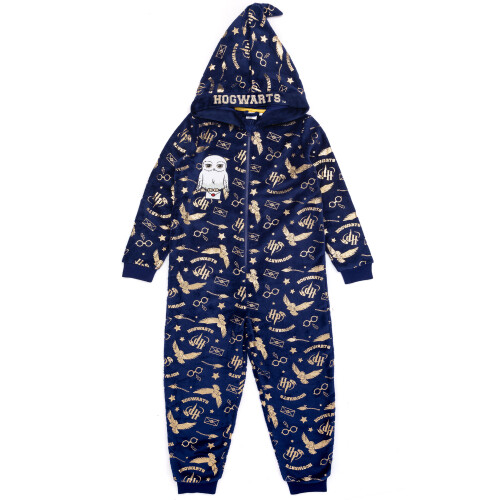 Harry Potter (10-11 Years) Harry Potter Onesie (Girls Blue) 2