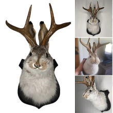 Jackalope Wall Decor The Latest Legend Of Antlers Resin Hanging Wall Art Simulation Animal Head
